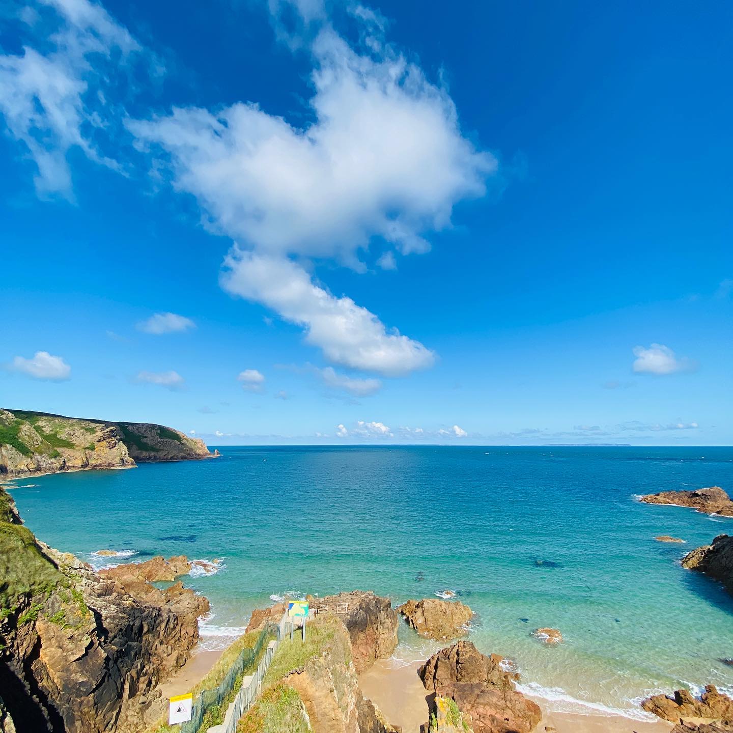 119125486 1700782826755489 1283162346796297021 O